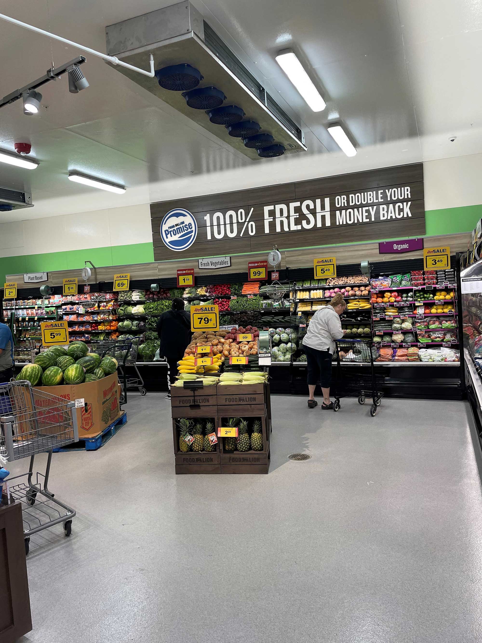 Food Lion 12